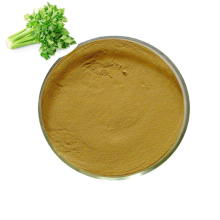 High quality natural bulk celery extract powder apigenin 1.2% 98% dried celery root extract powder